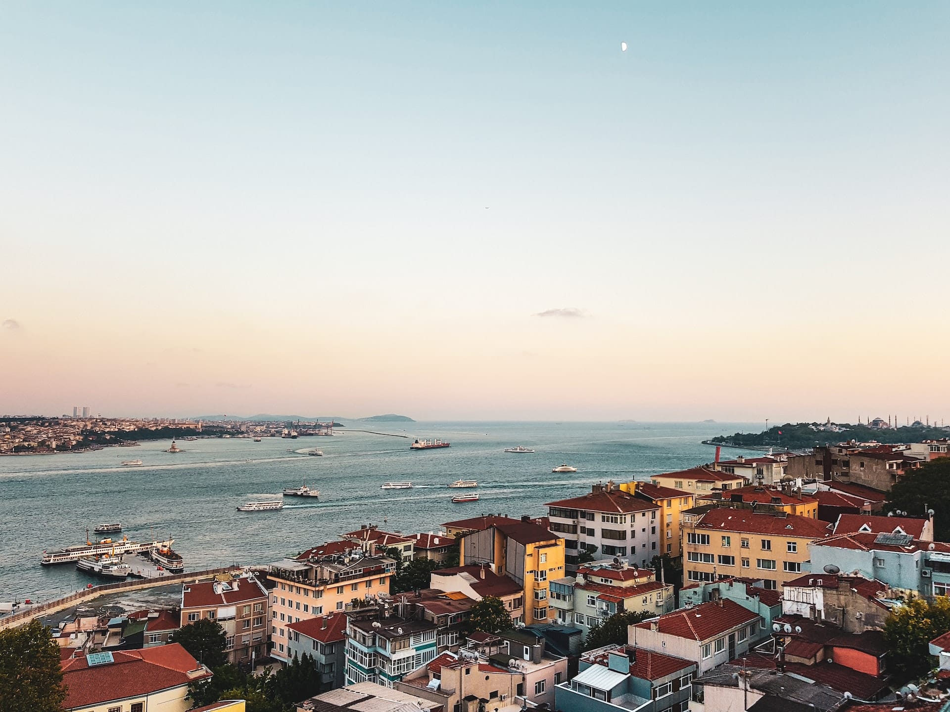 turkey