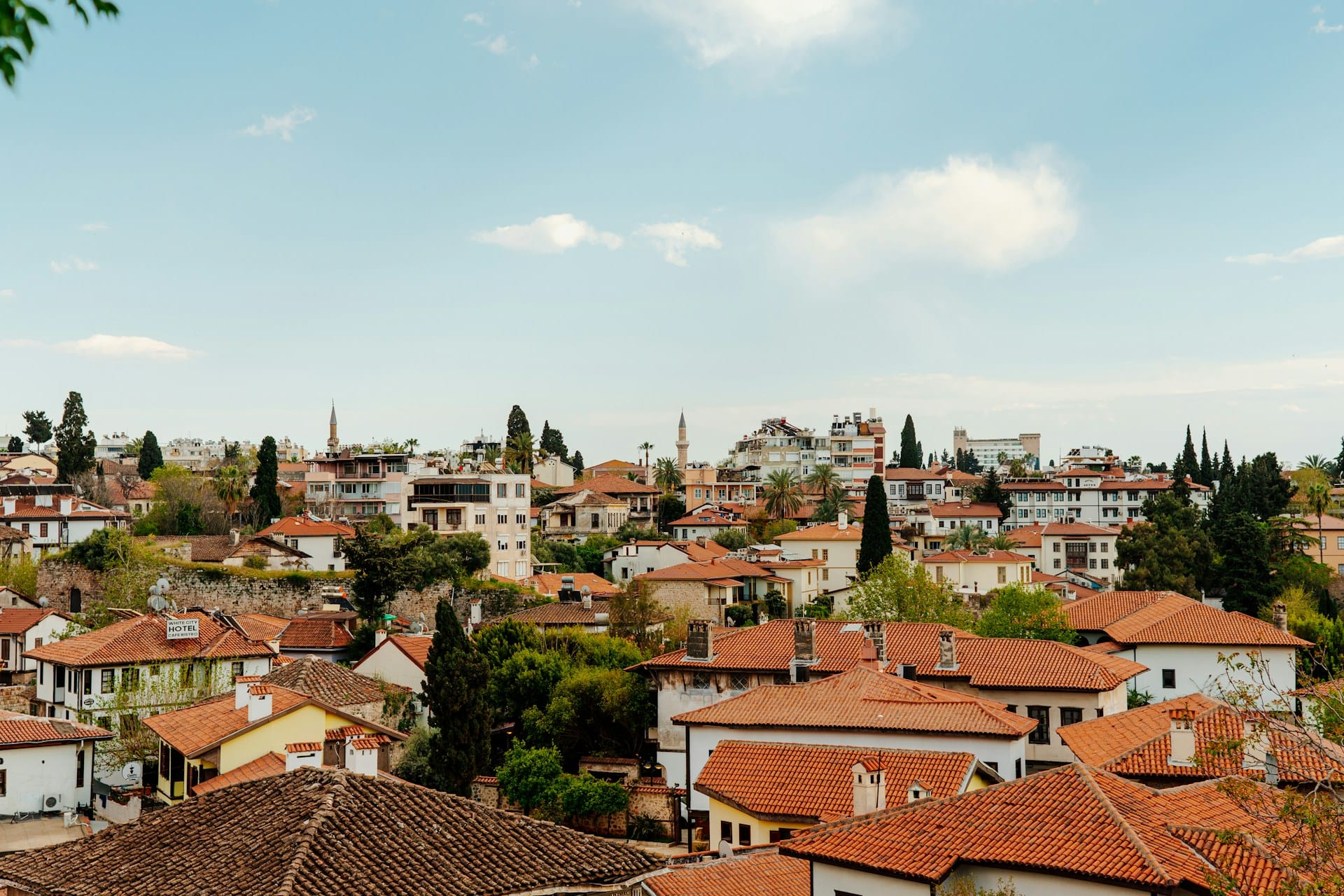 Turk